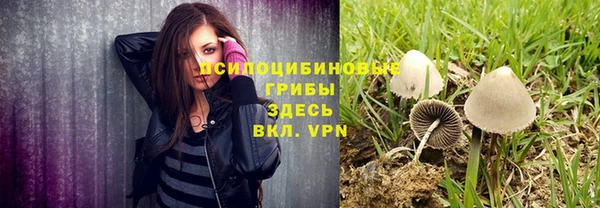 амфетамин Анива