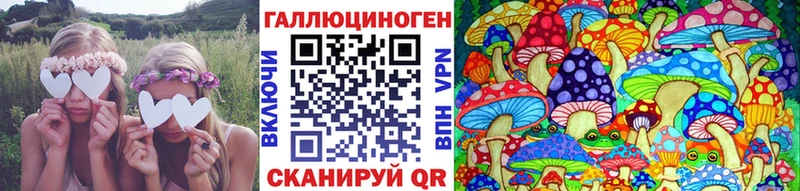 Галлюциногенные грибы Psilocybine cubensis  где найти   Звенигород 