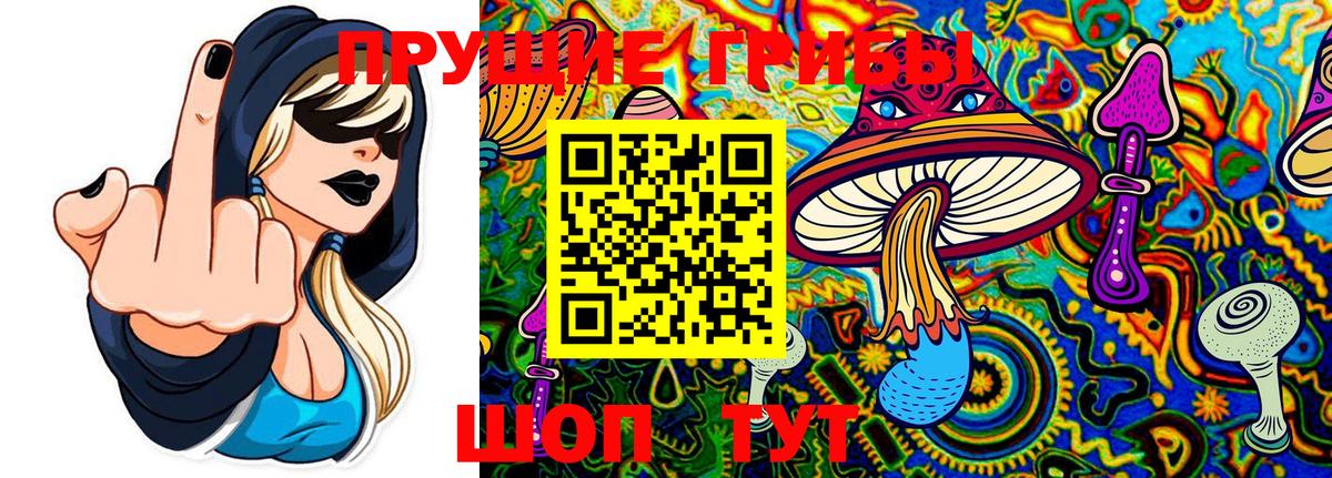 Псилоцибиновые грибы мицелий  Звенигород 